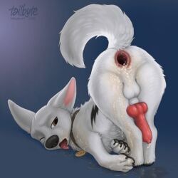 bolt_(bolt), bolt_(film), disney, tailbyte, anatomically_correct