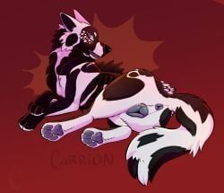 saberbutt, animal_genitalia, animal_vulva, anus, bone