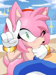amy_rose, sonic_the_hedgehog, sega, sonic_(series), sonic_the_hedgehog_(series)