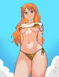 nami_(one_piece), one_piece, shonen_jump, shueisha, toei_animation