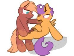 ciphertrot_(nitrox), mlp_oc, oc, original_character, scootaloo_(mlp)