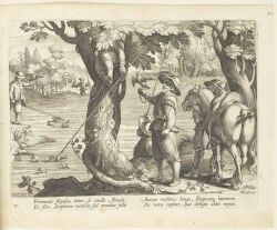 1596, anus, avian, balls, bird