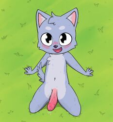 rappywet, adorable, anthro, anthro_cat, anthro_only