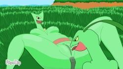 generation_3_pokemon, grovyle, pokemon_(species), sceptile, game_freak