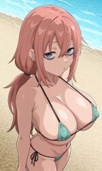 michinoku_komaro, seitokai_nimo_anawa_aru!, kyoru189, 1girls, beach