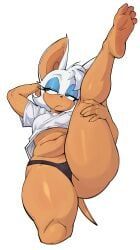 rouge_the_bat, sonic_(series), chantiyi, chantiyii, bat