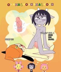 parappa, paula_fox, rammy_lamb, sunny_funny, parappa_the_rapper