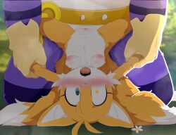 big_the_cat, miles_prower, miles_tails_prower, tails_the_fox, tailsko