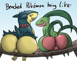 generation_2_pokemon, generation_3_pokemon, grovyle, pokemon_(species), typhlosion