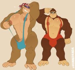 donkey_kong, donkey_kong_(character), funky_kong, donkey_kong_(series), nintendo