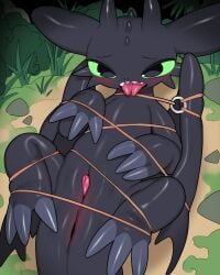 fury_(httyd), night_fury, toothless, dreamworks, european_mythology