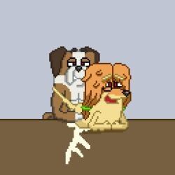indy_(bluey), winton_(bluey), bluey_(series), afghan_hound, aged_up