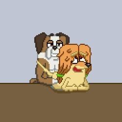 indy_(bluey), winton_(bluey), bluey_(series), afghan_hound, aged_up