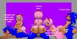 amy_rose, sonic_the_hedgehog, sega, sonic_(series), anus