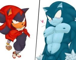 shadow_the_hedgehog, sonic_the_hedgehog, sonic_the_werehog, fairy_tales, little_red_riding_hood_(copyright)