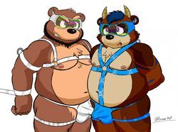animal_genitalia, animal_penis, anthro, arthurpup, balls
