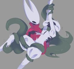 greyroot, hornet_(hollow_knight), lace_(hollow_knight), lace_(hollow_knight:_silksong), hollow_knight