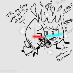 firey_(bfdi), leafy_(bfdi), battle_for_dream_island, bfdi, jacknjellify
