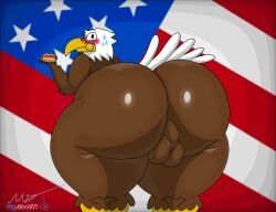 american_eagle, 4th_of_july, holidays, mgdire671, 1boy