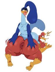 kazooie, road_runner_(looney_tunes), banjo-kazooie, looney_tunes, rareware