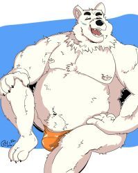 xxl_woofia, bear, beholdbill, clothing, happy