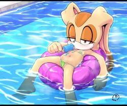 cream_the_rabbit, sega, sonic_(series), sonic_the_hedgehog_(series), blaski