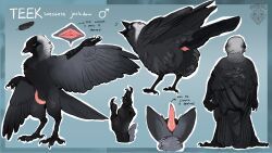 jackdaw, marul, animal_genitalia, anthro, avian