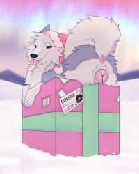 barndog_(barndog), christmas, holidays, barndog, animal_genitalia