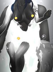 agatha_vulpes, marisa111, 1futa, anthro, bath