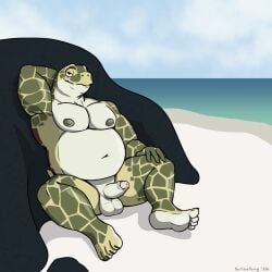 scribefang, anthro, balls, beach, countershading
