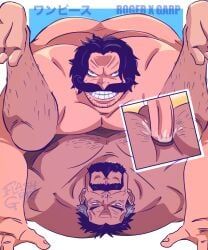 garp, gol_d_roger, monkey_d_garp, one_piece, flashgritz