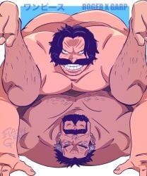 garp, gol_d_roger, monkey_d_garp, one_piece, flashgritz