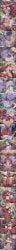 female_rover_(wuthering_waves), phoebe_(wuthering_waves), rover_(wuthering_waves), shorekeeper_(wuthering_waves), patreon