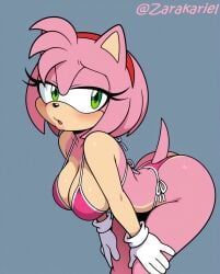 amy_rose, sonic_(series), zarakariel, bikini, horny_expression