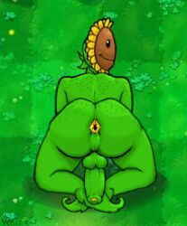 sunflower_(pvz), plants_vs_zombies, anthro, anthrofied, anthropomorphic