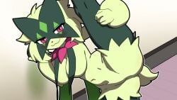 florian_(pokemon), meowscarada, pokemon_(species), game_freak, nintendo