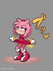 amy_rose, sega, sonic_the_hedgehog_(series), bare_legs, blush