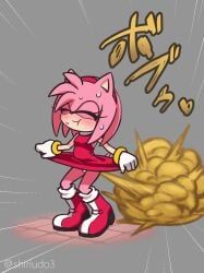 amy_rose, sega, sonic_the_hedgehog_(series), bare_legs, blush