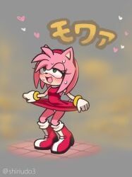 amy_rose, sega, sonic_the_hedgehog_(series), bare_legs, blush
