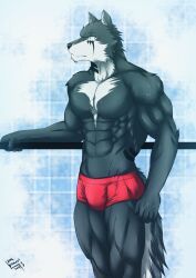 darky_ryu, furloid, utau, darkdragon563, 1boy