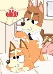 chilli_heeler, bluey_(series), 4_fingers, anthro, anthro_on_anthro