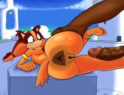 sticks_the_badger, sonic_(series), sonic_boom_(series), noinx_at_nite_(artist), darkened_anus