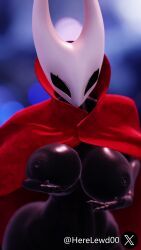 hornet_(hollow_knight), hollow_knight, hollow_knight:_silksong, team_cherry, herelewd