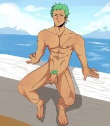 roronoa_zoro, one_piece, 1boy, abs, asymmetrical_balls