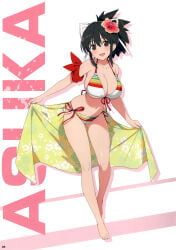 asuka_(senran_kagura), senran_kagura, senran_kagura_new_link, yaegashi_nan, 1girls