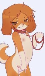 brown_eyes, brown_fur, brown_hair, collar, cub
