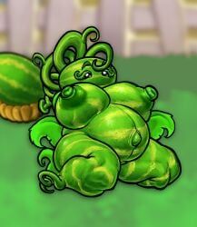 melon-pult_(pvz), plants_vs_zombies, waneczka228, 1girls, belly
