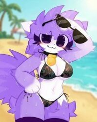 nori_kitty, kit_community, kit_community_v2, beach, beach_background