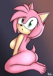 amy_rose, sonic_(series), sonic_the_hedgehog_(series), xenrevv, 1girls