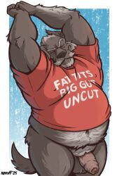 boomer_(nanoff), nanoff, anthro, balls, belly_overhang